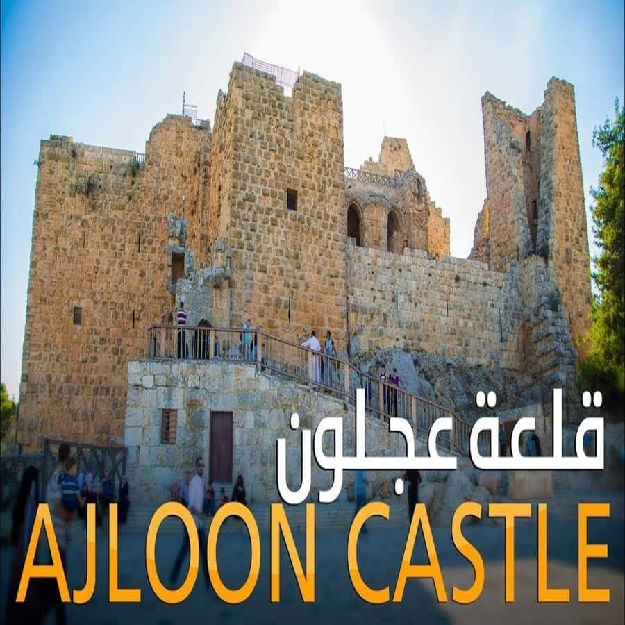 From Amman: Jerash &Ajloun &Um Qais Private Tour - Ajloun Castle: Saladin’s Fortress and the View Over the Dead Sea