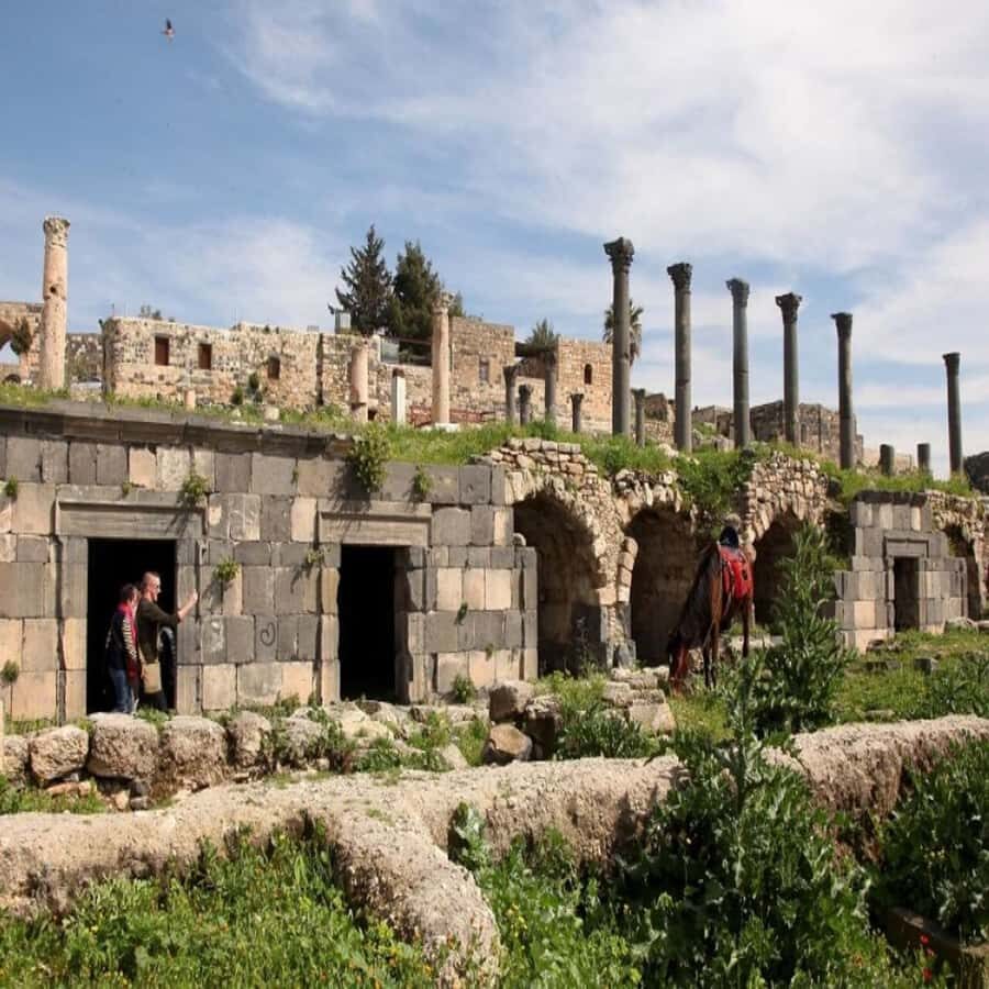 From Amman: Jerash &Ajloun &Um Qais Private Tour - If Um Qais Is Part of Your Route, Here’s What to Expect