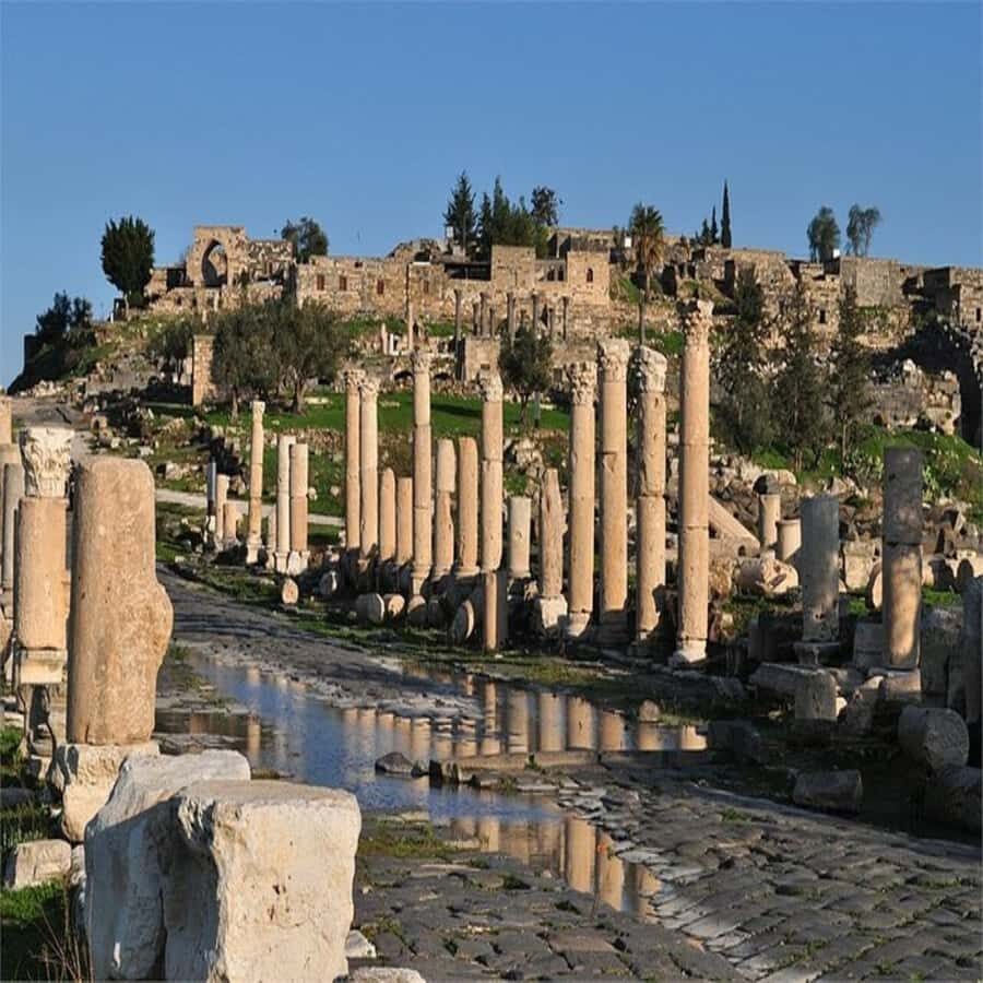 From Amman: Jerash &Ajloun &Um Qais Private Tour - Should You Book This Private Northern Jordan Tour?