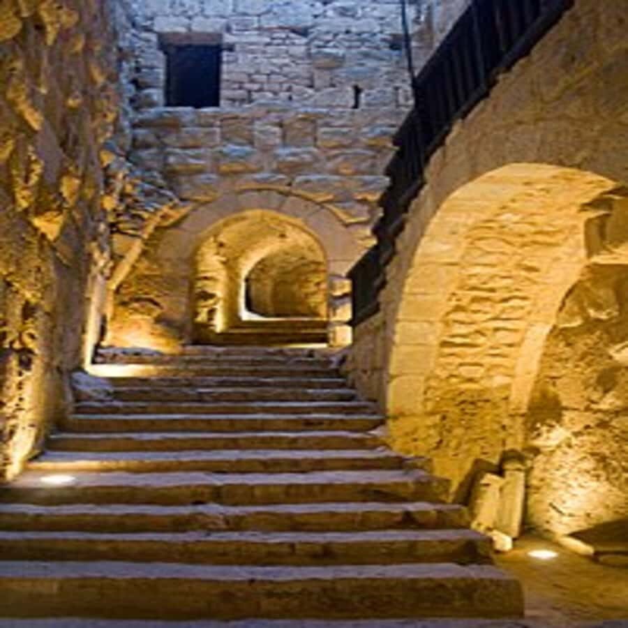 From Amman: Jerash &Ajloun &Um Qais Private Tour - Jerash Roman Ruins: Colonnaded Street to Hadrian’s Arch
