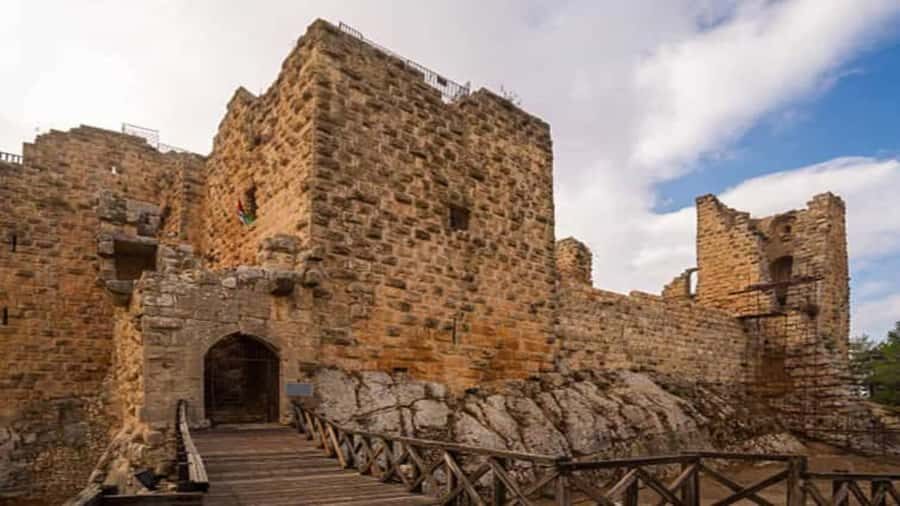 From Amman: Jerash and Ajloun Day Tour - Key Highlights Worth Planning For