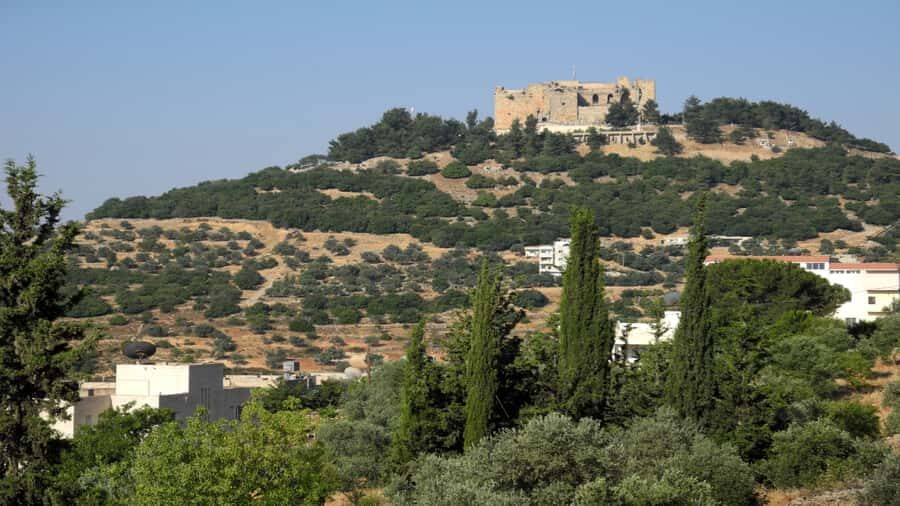 From Amman: Jerash and Ajloun Day Tour - Jerash’s Roman Streets: What You’ll See in Real Time