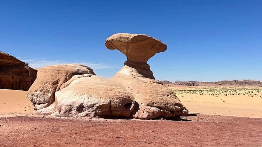 From Amman: Petra, Wadi Rum, and Dead Sea Private 2-Day Trip - The big idea: three Jordan icons in two tightly packed days