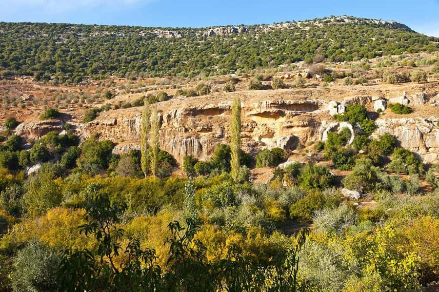 From Amman: Private Jerash, Ajloun Castle, and Umm Qais Tour - Price and Value for $57: What’s Included vs What Costs Extra