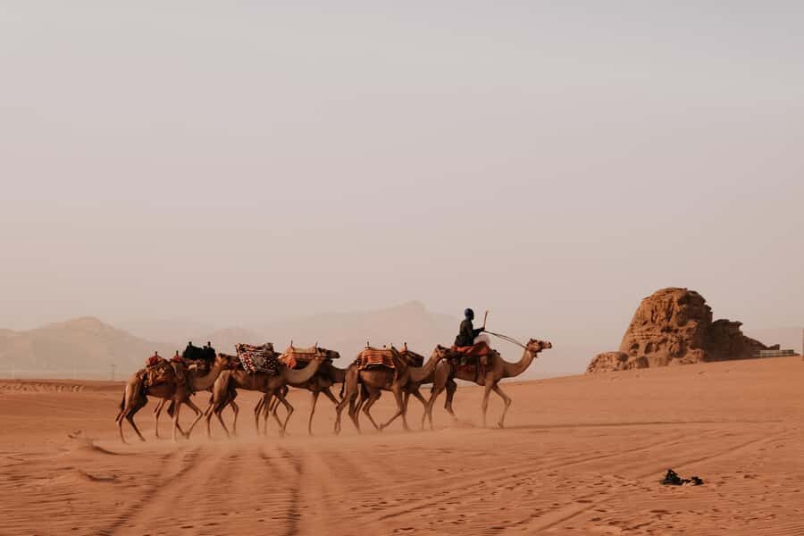From Amman: Private or sharing Petra &Wadi Rum Full day Tour - Key takeaways before you go