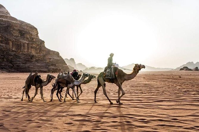 From Amman to Petra and Wadi rum ( Private two days) - Driver quality: professional, calm, and locally helpful