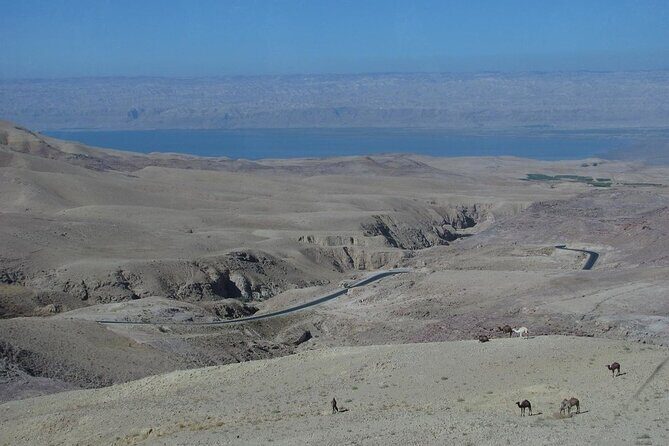 From Amman to West ( Madaba, Mt Nebo, baptism site and dead sea) - Timing That Works: A 7–9 Hour Flow Without the Chaos