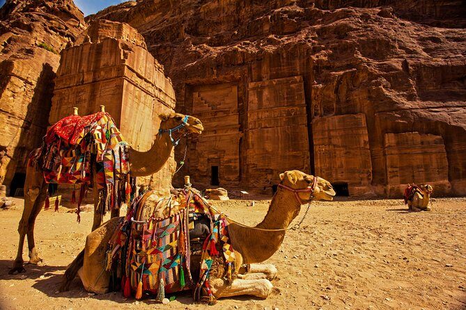 From Aqaba a Day Excursion to Petra - Key highlights worth knowing before you go