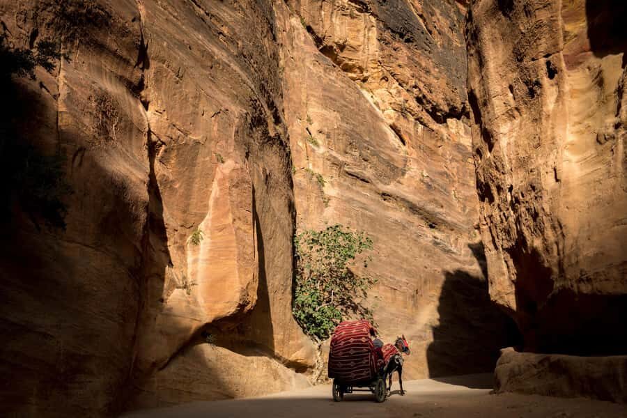 From Tel Aviv: Petra 2-Day Tour - Petra by guide: the Siq, Treasury, and Amphitheater