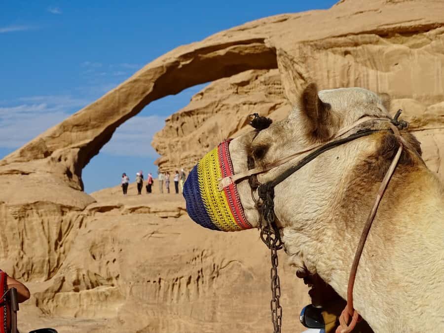 From Tel Aviv: Petra & Wadi Rum Glamping 2-Day Tour - Air-conditioned bus and guided pacing: Comfort meets efficiency