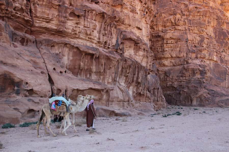 From Wadi Rum: Camel Ride Experience with Tea and Guide - Getting to the Wadi Rum Rest House without stress