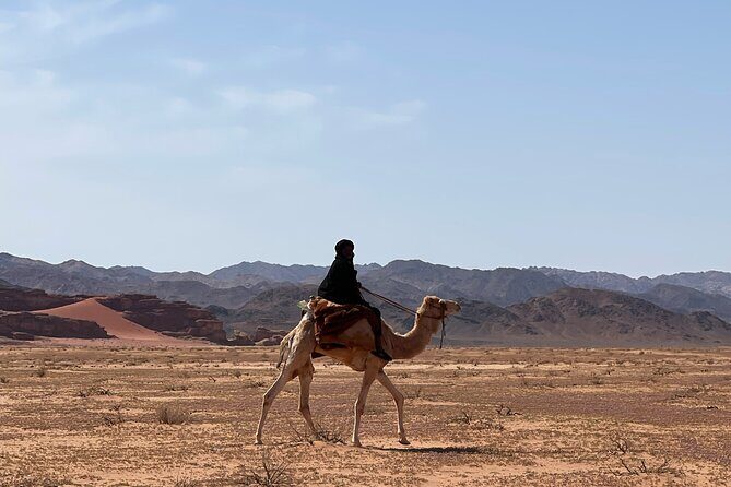 Full-Day Hiking in Wadi Rum's Desert with Lunch - Khazali Canyon inscriptions and the little bridge moment