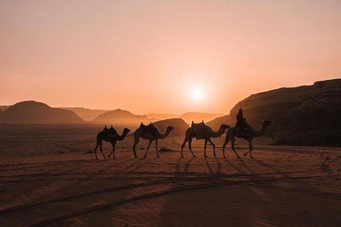 Full Day Jeep Tour with Overnight in beduin Camp Stay! (All Meals Included) - Stop by stop: what you’ll actually do in Wadi Rum