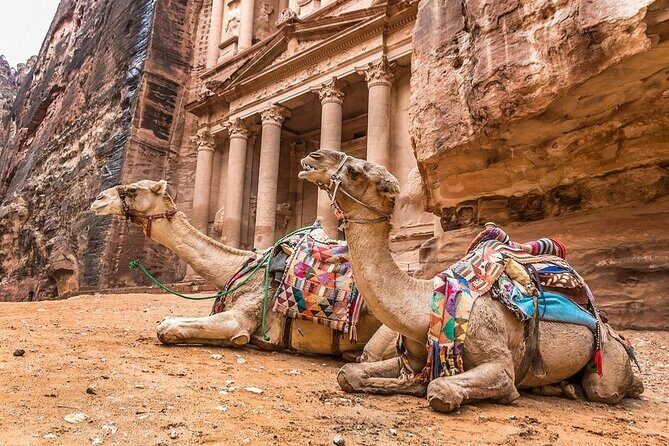 Full Day Petra and Wadi Rum Tour from Amman - Logistics that make the day feel safer (especially for solo visitors)