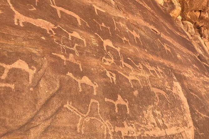 Full-Day Private Tour in Petra with Hotel Pick-Up - Price and value: what $142.50 per person buys you