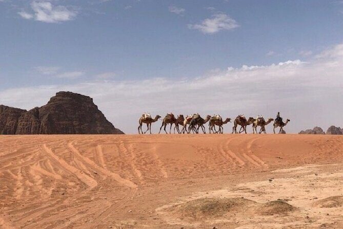Full-Day Private Tour in Petra with Hotel Pick-Up - Weather reality and what to do if conditions change