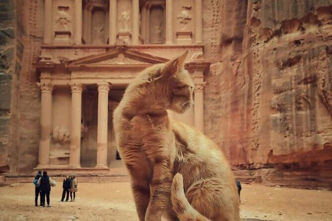Full Day Tour Petra and wadi rum from Amman or Dead sea - Entering Petra: Siq to the Treasury with enough time to enjoy it