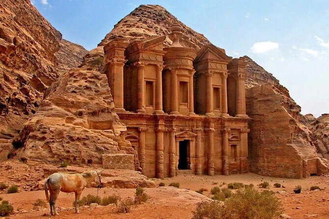Full-Day Trip in Petra from Aqaba - Price and logistics: how $170 per group really works