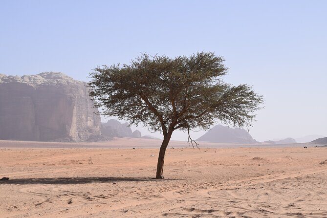 Half day Jeep and camel tour No stay - Sandboarding Included: Great Fun, Plus a Smart Check Before You Go