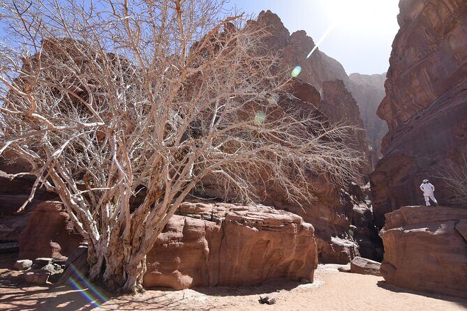 Half day Jeep and camel tour No stay - Khazali Canyon Walk: Where Inscriptions Reward Your Pace