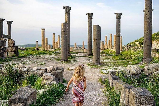Half Day Private Tour From Amman To Jerash - The private guide and flexible route: where the experience gets real