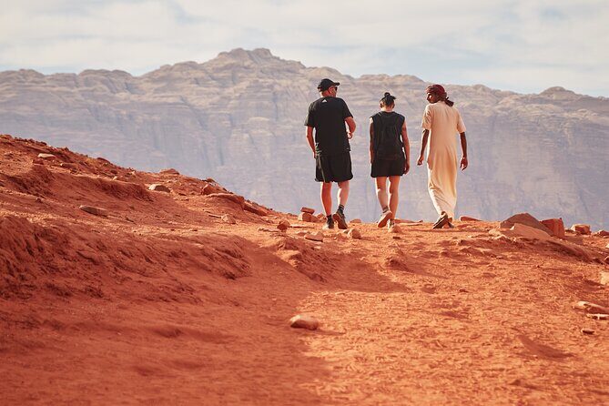 Jeep Tour in Wadi Rum with Professional Guide (Full day) - Stop-by-stop in Wadi Rum Protected Area