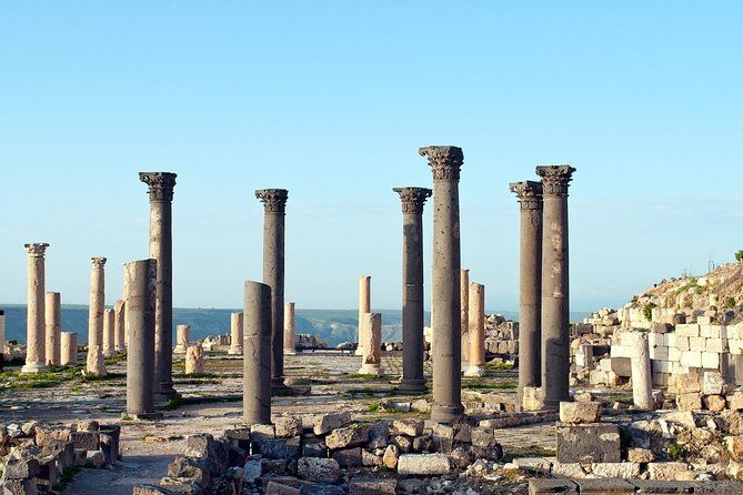 Jerash, Ajloun, and Umm Quais Full-Day Tour - Meals, entry fees, and what to do about them