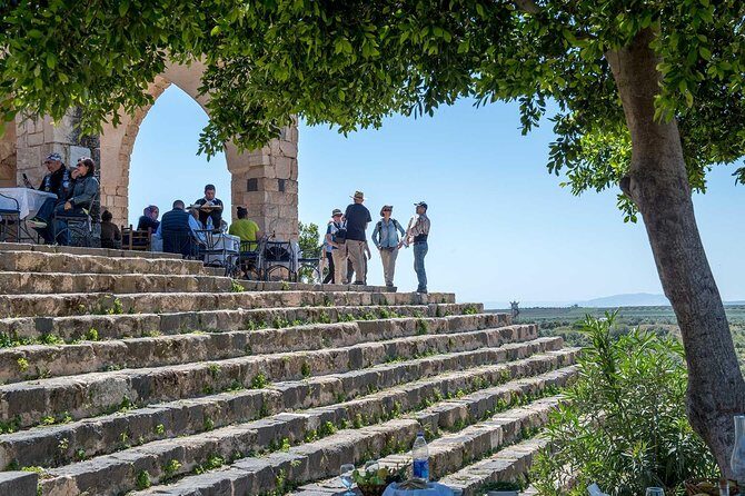 Jerash, Ajloun & Umm Qais Private tour - Jerash Ruins: Roman-Scale Wonder Without the Rush