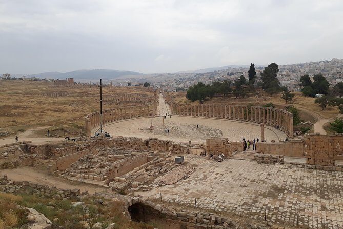 Jerash, Ajloun & Umm Qais Private tour - The Driver and Comfort Details That Actually Matter