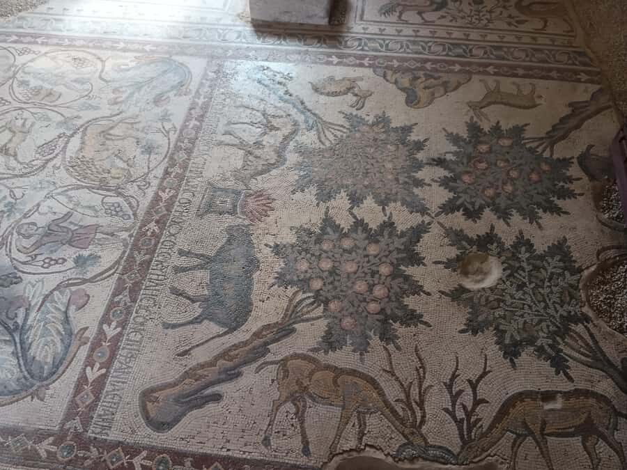 Jordan Mosaic Wonders: Umm ar-Rasas, Madaba & Mount Nebo - The hands-on mosaic workshop: make something, not just buy a souvenir