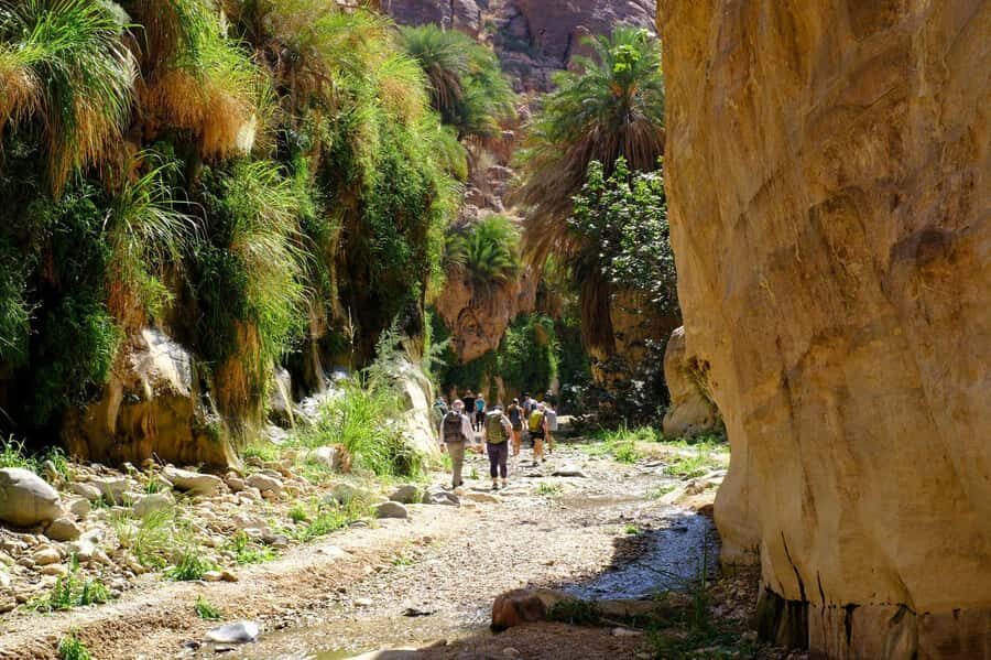 Jordan Trail: Dana to Petra 4-Day Trekking Tour - Who This Dana to Petra Trek Is For (and Who Should Skip It)