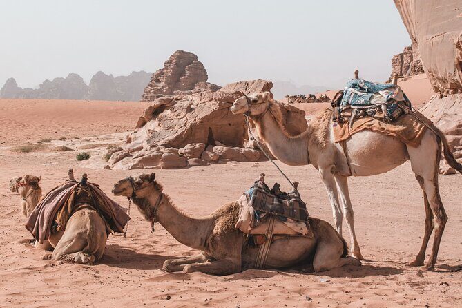 Jordan Travel Planning Services | The Jordanian Mappers - Wadi Rum Desert: Viewpoints Without the Headache