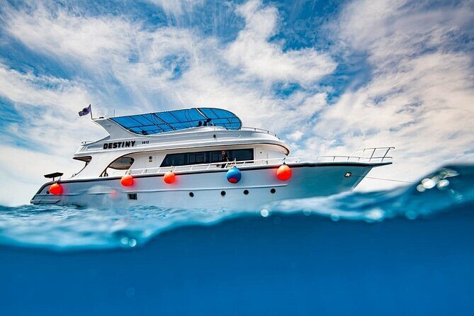 Journey of Diving or Snorkelling from a Boat - Key highlights you’ll feel on the day