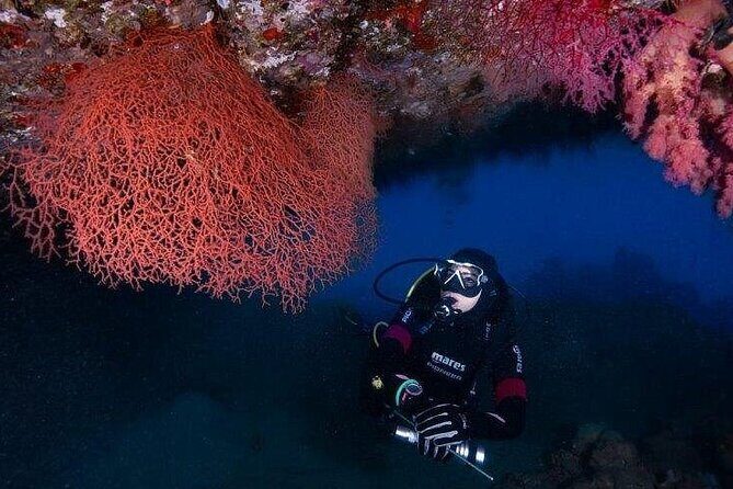 Journey of Diving or Snorkelling from a Boat - The 22-Meter Boat Setup: Comfort That Keeps the Day Moving