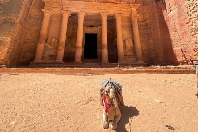 Nabatean Nights Stay in Petra Jordan - Bedouin Village with Tour - The Bedouin Cave Stay: Dinner, Night Sky, and Comfort