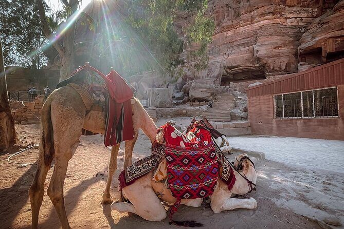 Nabatean Nights Stay in Petra Jordan - Bedouin Village with Tour - Mobile Ticket and Private Group: A Simpler Day