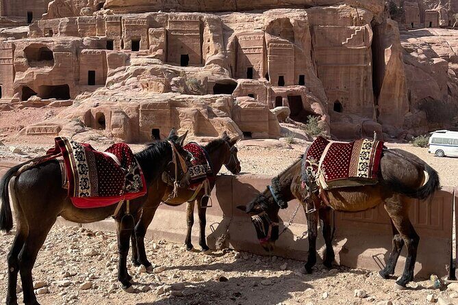 Nabatean Nights Stay in Petra Jordan - Bedouin Village with Tour - Petra in One Day: Treasury, Sacrifice, Cave Lunch, and the Monastery