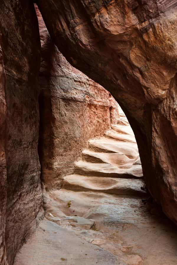 One Day Tour from Aqaba - Petra and Wadi Rum - Aqaba - Key things that make this day trip work