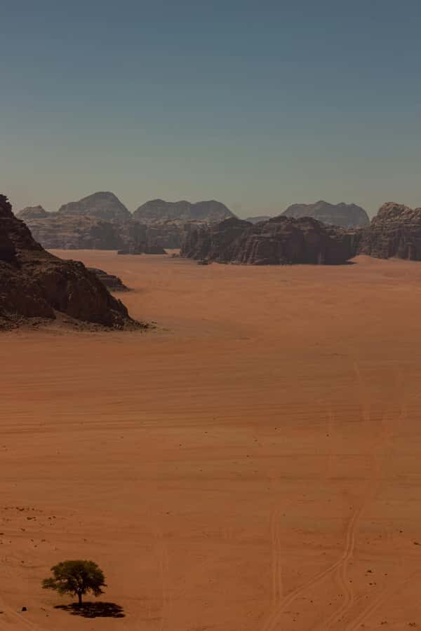 One Day Tour from Aqaba - Petra and Wadi Rum - Aqaba - Wadi Rum by 4x4: desert views made for motion