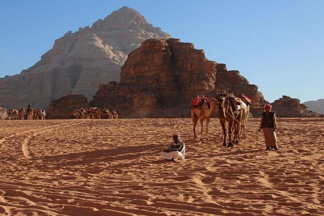 One Day Tour to Wadi Rum From Amman - Lunch and Meals: Know What’s Included, Then Plan Smart