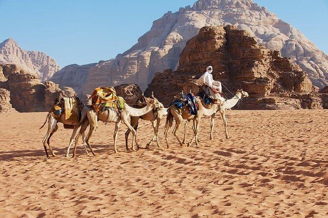 Petra and Wadi Rum Day Trip from Amman - Optional horse ride in Petra: fun if you plan for the tip