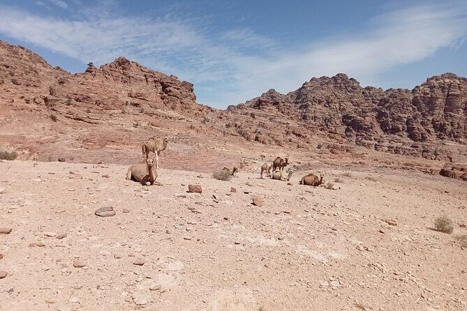 Petra Back-Road Trail and Hike - Key Points I’d Use to Plan Your Day