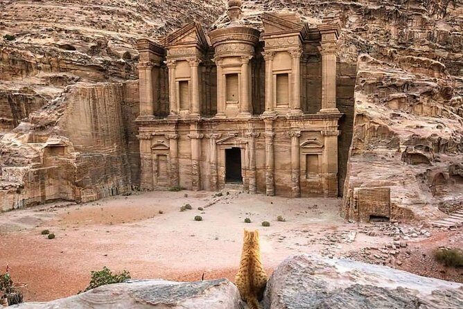 Petra Day Tour from Aqaba Port (Shore Excursion Petra) - JHT - Private Aqaba Port Pickup: Getting to Petra Without Guesswork