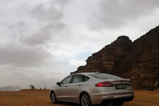 Petra Full Day Tour - The Review Signal: What People Seem to Love