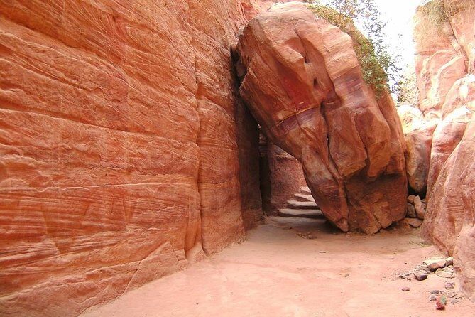 Petra Full Day Tour - The Real Comfort: Air-Conditioned Ride and a Driver Who Can Help
