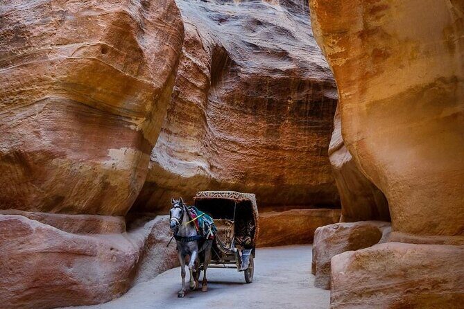 Petra Private Full-Day Tour - The Short Stops That Can Still Be Worth It (Obelisk to Silk Tomb)