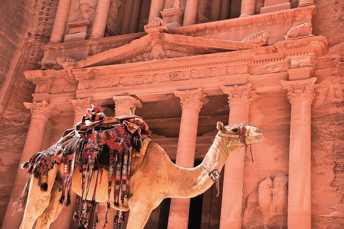 Petra Shore Excursion from Aqaba Port - Aqaba Port pickup to Petra: why this works for a cruise day