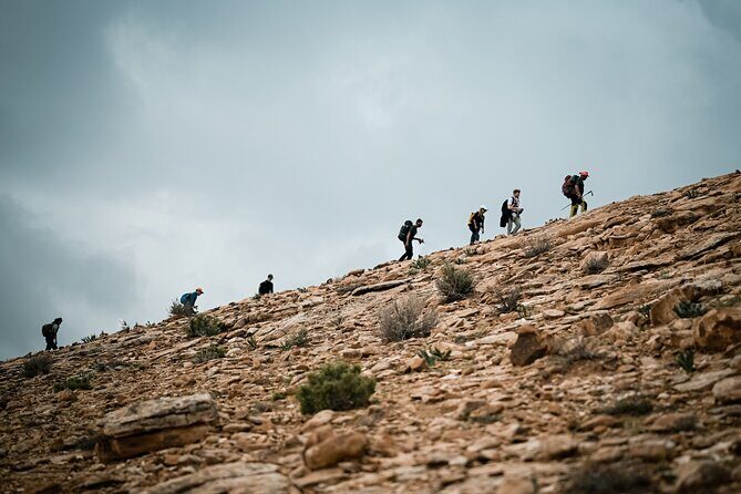 Petra to Wadi Rum Trek - 6 Days - What This Petra to Wadi Rum Trek Really Delivers