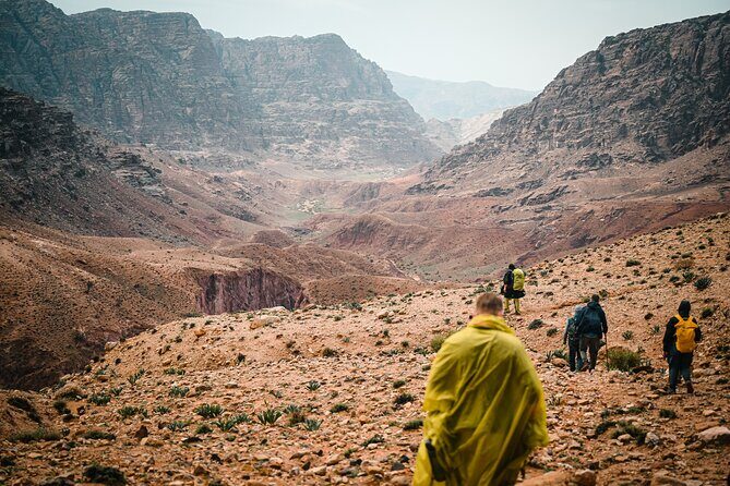 Petra to Wadi Rum Trek - 6 Days - Day 1: The Petra-to-Wadi Musa Start That Quietly Wears You In