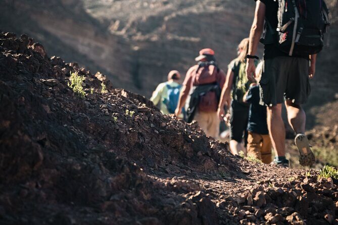 Petra to Wadi Rum Trek - 6 Days - Day 2: South Through Rural Desert Mountains and Oleander-lined Dry Valleys